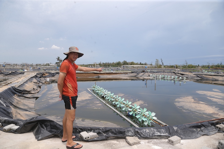 Người d&acirc;n ven biển Nghệ An mong g&oacute;i vay ưu đ&atilde;i để ổn định sản xuất sau b&atilde;o lũ- Ảnh 3.