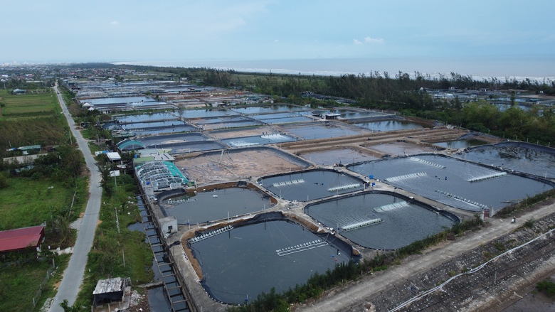 Người d&acirc;n ven biển Nghệ An mong g&oacute;i vay ưu đ&atilde;i để ổn định sản xuất sau b&atilde;o lũ- Ảnh 1.