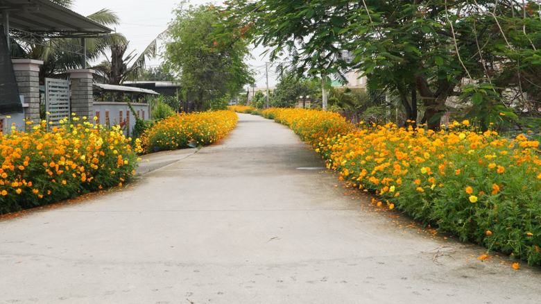 TP.HCM: X&atilde; Nhuận Đức phấn đấu th&agrave;nh x&atilde; n&ocirc;ng th&ocirc;n mới n&acirc;ng cao- Ảnh 2.