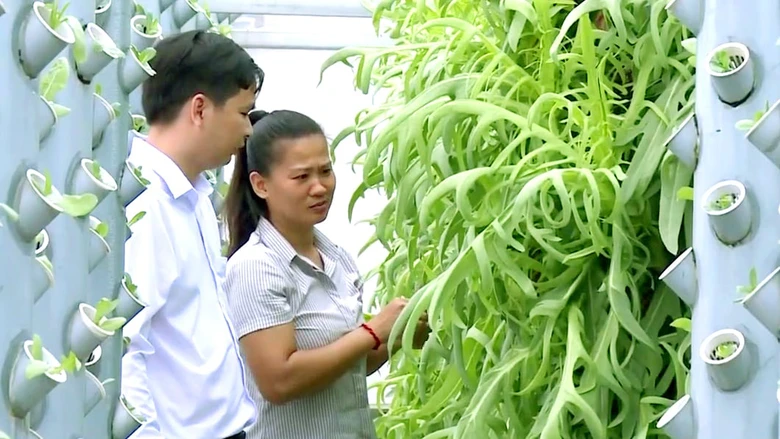 Ph&aacute;t triển n&ocirc;ng nghiệp đ&ocirc; thị - Khi n&ocirc;ng d&acirc;n th&agrave;nh nh&agrave; s&aacute;ng tạo- Ảnh 1.