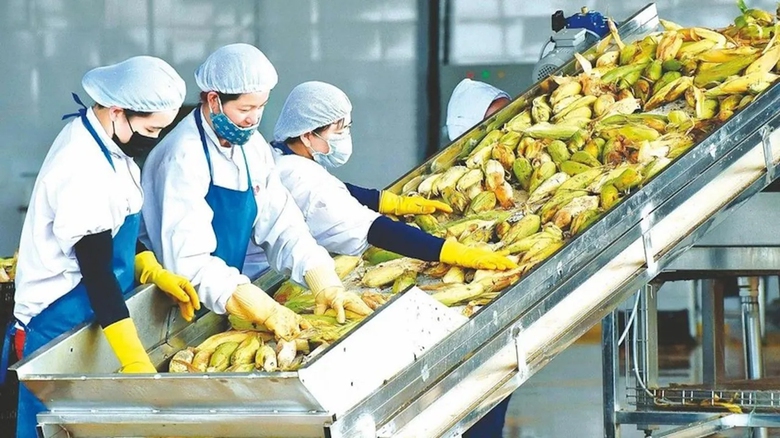 Tăng tốc xuất khẩu, kỳ vọng c&aacute;n mốc lịch sử- Ảnh 1.
