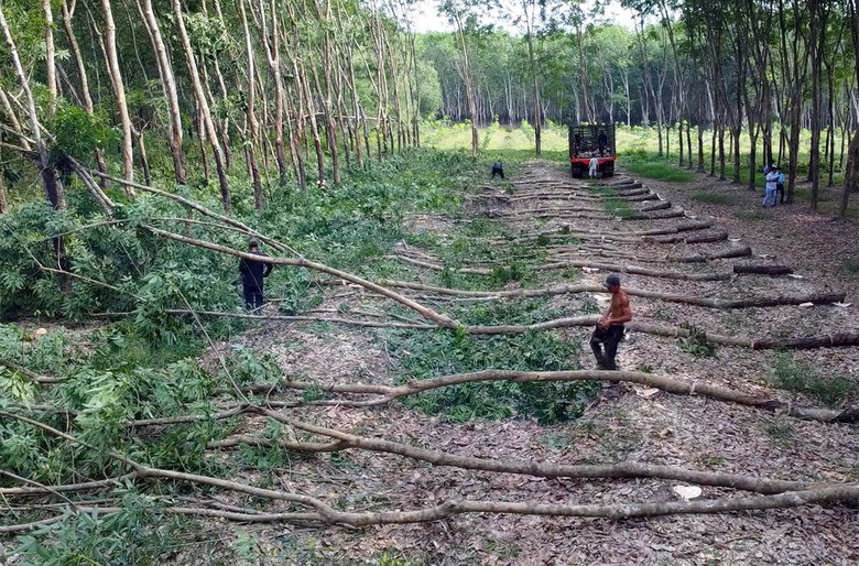 Đồng Nai ph&aacute;t động &ldquo;chiến dịch Quang Trung&rdquo;, thần tốc GPMB cao tốc Bắc - Nam ph&iacute;a T&acirc;y- Ảnh 1.