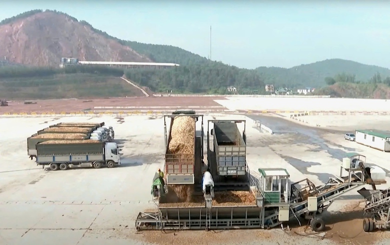 Nghệ An: Từng bước đột ph&aacute;, n&acirc;ng cấp hạ tầng cảng biển- Ảnh 3.