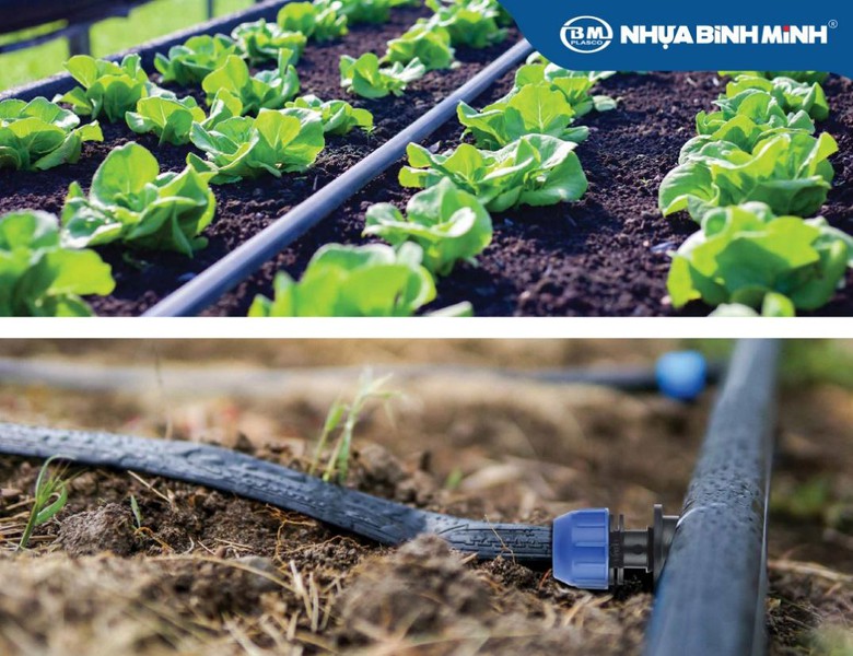 Đa dạng sản phẩm, phủ rộng thị trường - trụ cột bứt ph&aacute; của Nhựa B&igrave;nh Minh- Ảnh 4.