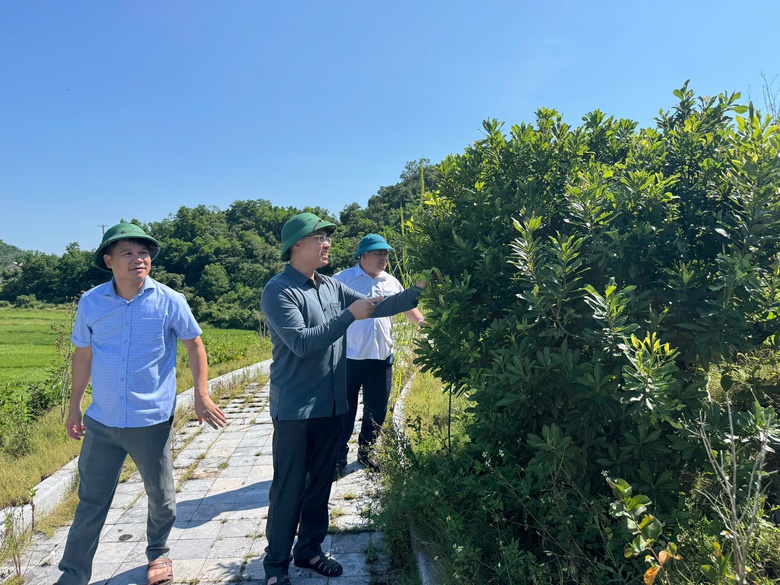 C&aacute;i Chi&ecirc;n: Đột ph&aacute; từ du lịch, hướng tới kinh tế biển v&agrave; kh&ocirc;ng gian sống xanh- Ảnh 5.