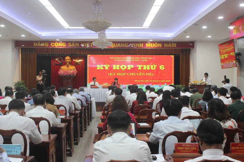 Chốt giao thẩm quyền x&acirc;y dựng cầu C&aacute;t L&aacute;i, Long Hưng v&agrave; Ph&uacute; Mỹ 2 nối Đồng Nai - TP.HCM- Ảnh 6.
