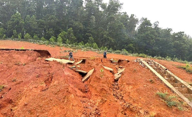 Ninh B&igrave;nh: Tuyến đường Đ&ocirc;ng - T&acirc;y gần 2.000 tỷ đồng sạt lở ta luy, cần sớm khắc phục- Ảnh 4.