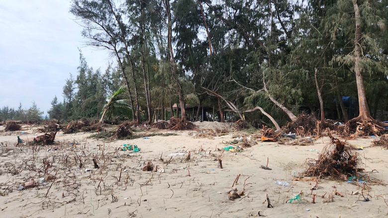 K&egrave; biển gi&uacute;p người d&acirc;n Quảng Ng&atilde;i chống chọi với những con s&oacute;ng dữ- Ảnh 9.