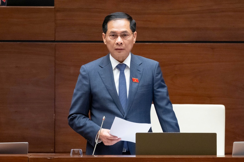 Phó Thủ tướng Bùi Thanh Sơn làm rõ sự cần thiết định danh người bán hàng trên mạng- Ảnh 1. Phó Thủ tướng Bùi Thanh Sơn làm rõ sự cần thiết định danh người bán hàng trên mạng- Ảnh 1.