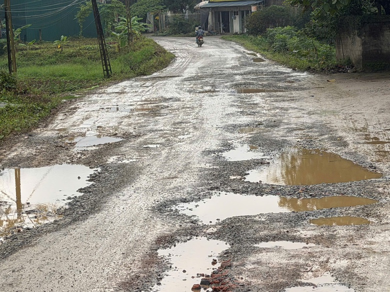 Người d&acirc;n khốn khổ băng qua tuyến đường to&agrave;n ổ tr&acirc;u ở Ph&uacute; Thọ- Ảnh 2.