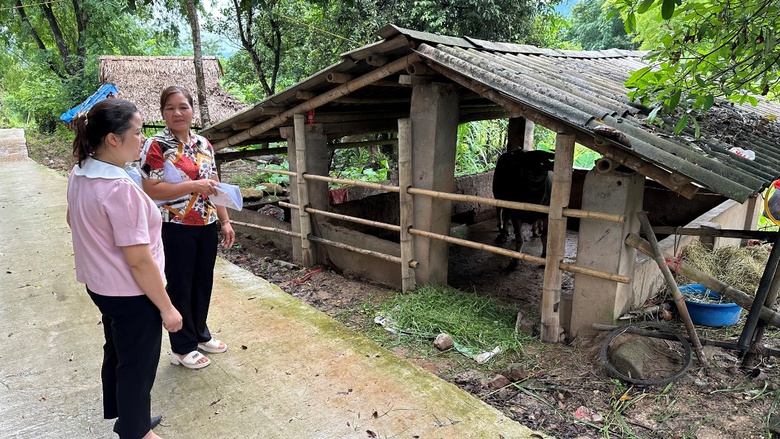 Phú Thọ: Phát triển kinh tế gắn liền với chăm lo an sinh xã hội cho người dân- Ảnh 2. Phú Thọ: Phát triển kinh tế gắn liền với chăm lo an sinh xã hội cho người dân- Ảnh 2.