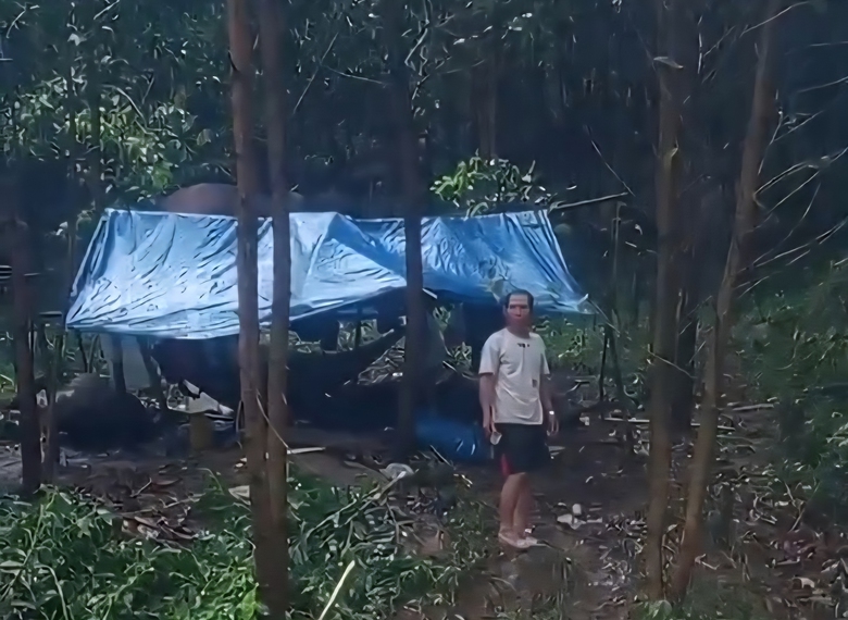 12 người dân Quảng Ngãi đi làm thuê ở Khánh Hòa bị lũ bao vây, một người mất tích- Ảnh 1. 12 người dân Quảng Ngãi đi làm thuê ở Khánh Hòa bị lũ bao vây, một người mất tích- Ảnh 1.