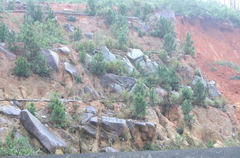 L&ecirc;n phương &aacute;n đ&agrave;o gần 3 vạn khối đất để xử l&yacute; nguy cơ sạt lở tr&ecirc;n đường ven biển H&agrave; Tĩnh- Ảnh 4.