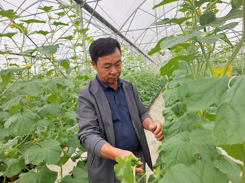 Tr&aacute;i ngọt b&ecirc;n d&ograve;ng s&ocirc;ng Cầu: C&acirc;u chuyện l&agrave;m gi&agrave;u từ n&ocirc;ng nghiệp th&ocirc;ng minh ở Xu&acirc;n Cẩm- Ảnh 1.