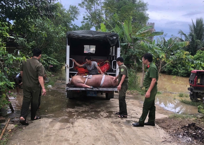 Mực nước s&ocirc;ng Đồng Nai vượt b&aacute;o động 2, nhiều v&ugrave;ng trũng nguy cơ ngập- Ảnh 4.
