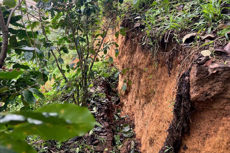 L&acirc;m Đồng: Ph&aacute;t hiện vết nứt 300m tr&ecirc;n đồi Ba L&aacute; Xanh, di dời khẩn cấp h&agrave;ng chục hộ d&acirc;n- Ảnh 1.