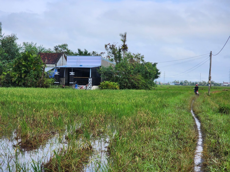 23 giờ trụ tr&ecirc;n n&oacute;c nh&agrave;, cả gia đ&igrave;nh ở Ph&uacute; Y&ecirc;n được 2 người ch&egrave;o ghe cứu- Ảnh 2.
