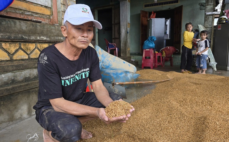 X&aacute;c xơ rốn lũ miền Trung: B&ograve; chết nổi, người d&acirc;n H&ograve;a Thịnh giữ mạng nhờ chiếc ghe nhỏ- Ảnh 5.