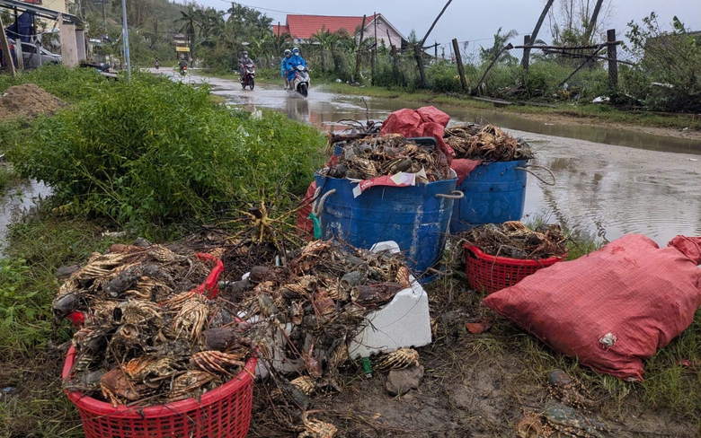 Đắk Lắk: L&agrave;ng ch&agrave;i S&ocirc;ng Cầu tả tơi sau lũ dữ, x&aacute;c t&ocirc;m h&ugrave;m phơi ở vệ đường- Ảnh 4.