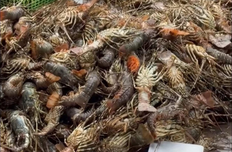 Đắk Lắk: L&agrave;ng ch&agrave;i S&ocirc;ng Cầu tả tơi sau lũ dữ, x&aacute;c t&ocirc;m h&ugrave;m phơi ở vệ đường- Ảnh 2.