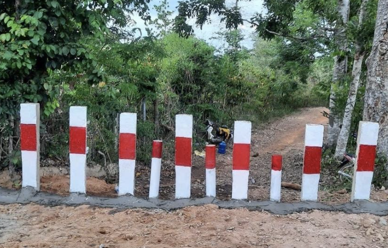 Triển khai Th&ocirc;ng tư 25, Đồng Nai xử l&yacute; t&igrave;nh trạng mở lối đi tự ph&aacute;t qua đường sắt- Ảnh 1.