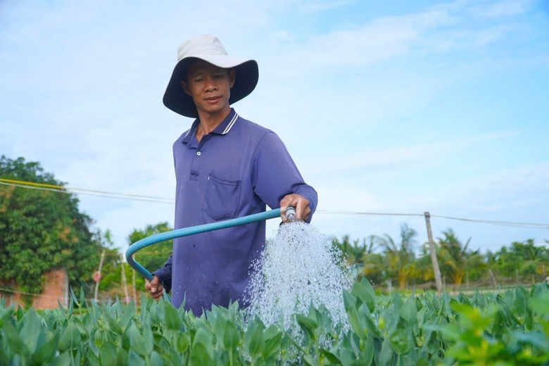 Cần Thơ tăng tốc n&acirc;ng tỷ lệ cấp nước sạch n&ocirc;ng th&ocirc;n- Ảnh 1.