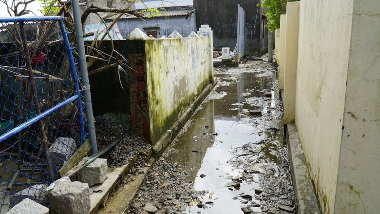 Ốc đảo Cồn Chim ở Gia Lai gượng dậy sau b&atilde;o lũ- Ảnh 1.