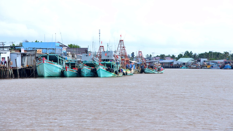 Cà Mau: 100% dữ liệu tàu cá được cập nhật, giám sát trên hệ thống- Ảnh 2. Cà Mau: 100% dữ liệu tàu cá được cập nhật, giám sát trên hệ thống- Ảnh 2.