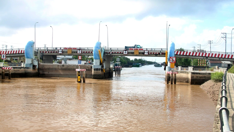 C&agrave; Mau: Vướng mặt bằng, tiến độ một số dự &aacute;n đ&ecirc; k&egrave; chống ngập bị cản trở- Ảnh 2.