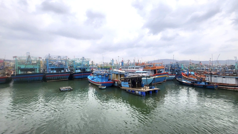 Gia Lai k&ecirc;u gọi hơn 5.400 t&agrave;u thuyền khẩn trương v&agrave;o bờ tr&aacute;nh b&atilde;o số 15- Ảnh 1.