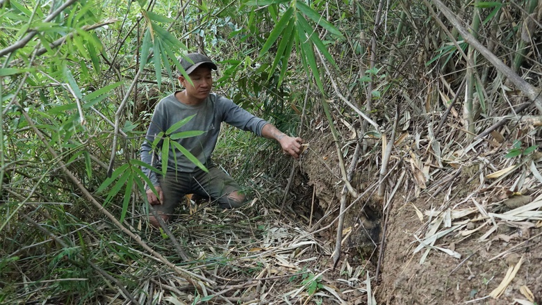 Gia Lai: Vết nứt xuất hiện tr&ecirc;n đồi, ch&iacute;nh quyền chủ động phương &aacute;n bảo vệ khu d&acirc;n cư- Ảnh 4.