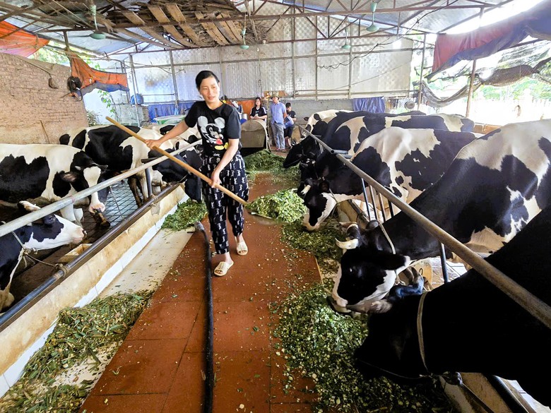 H&agrave; Nội: X&atilde; đảo Minh Ch&acirc;u ph&aacute;t triển m&ocirc; h&igrave;nh n&ocirc;ng nghiệp xanh, gắn với du lịch trải nghiệm- Ảnh 8.