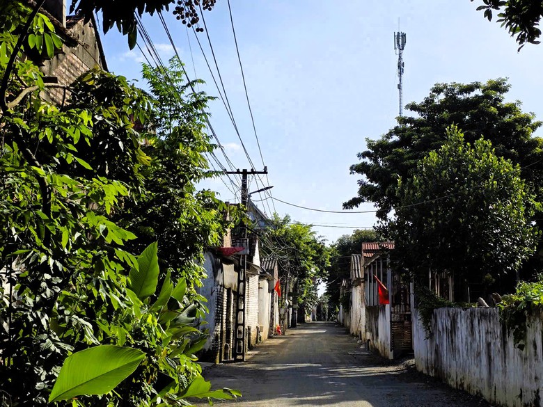 H&agrave; Nội: X&atilde; đảo Minh Ch&acirc;u ph&aacute;t triển m&ocirc; h&igrave;nh n&ocirc;ng nghiệp xanh, gắn với du lịch trải nghiệm- Ảnh 5.