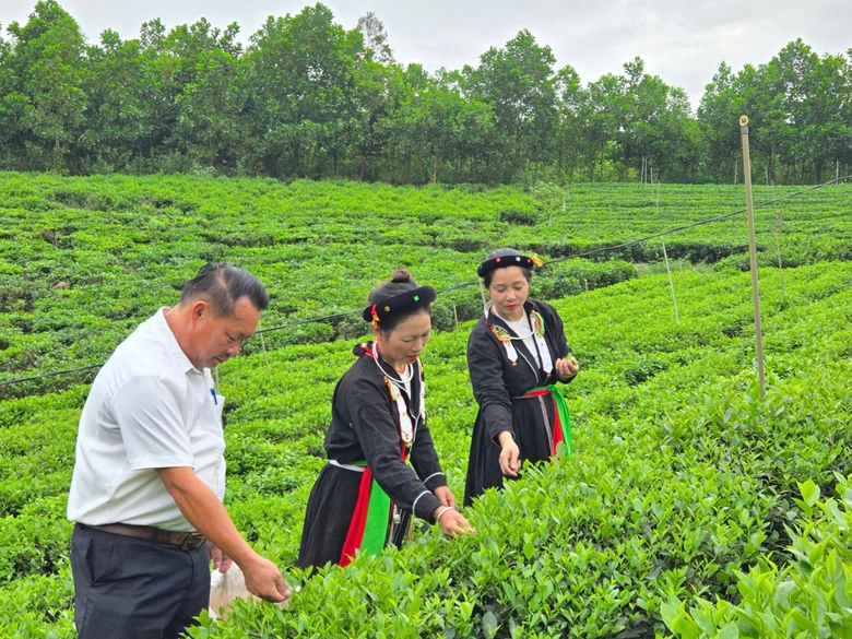 Th&aacute;i Nguy&ecirc;n: X&atilde; V&ocirc; Tranh hướng tới n&ocirc;ng th&ocirc;n mới hiện đại, bền vững v&agrave; gi&agrave;u bản sắc- Ảnh 2.