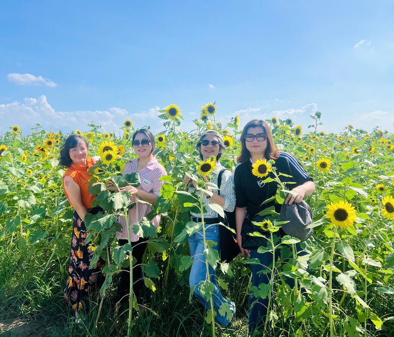 H&agrave; Nội: X&atilde; đảo Minh Ch&acirc;u ph&aacute;t triển m&ocirc; h&igrave;nh n&ocirc;ng nghiệp xanh, gắn với du lịch trải nghiệm- Ảnh 16.