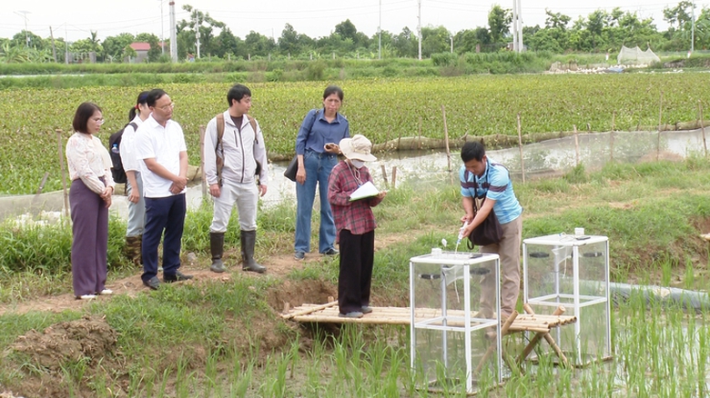 H&agrave; Nội: X&atilde; Ứng H&ograve;a th&uacute;c đẩy x&acirc;y dựng n&ocirc;ng th&ocirc;n mới hiện đại, ph&aacute;t triển kinh tế bền vững- Ảnh 3.