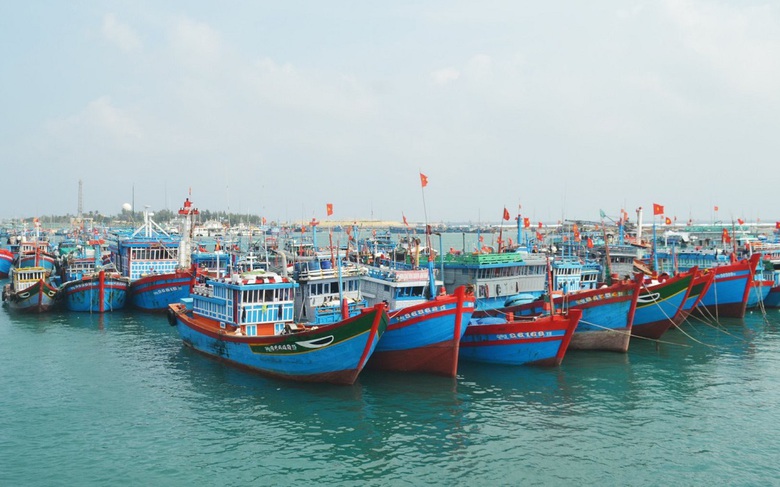 Hải Ph&ograve;ng: Ki&ecirc;n quyết ngăn chặn, kh&ocirc;ng để t&agrave;u c&aacute; vi phạm khai th&aacute;c IUU- Ảnh 1.