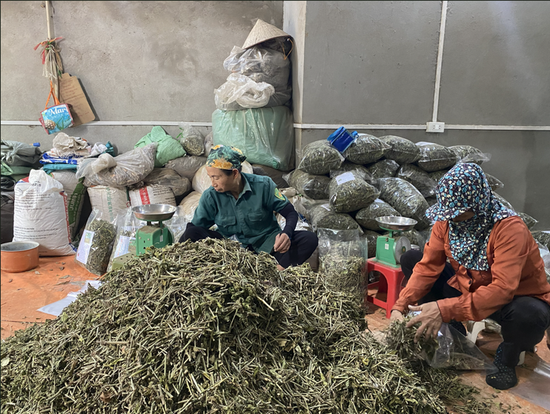 Ph&uacute; Thọ: V&ugrave;ng qu&ecirc; khởi sắc sau s&aacute;p nhập, chuyển m&igrave;nh mạnh mẽ x&acirc;y dựng n&ocirc;ng th&ocirc;n mới- Ảnh 2.