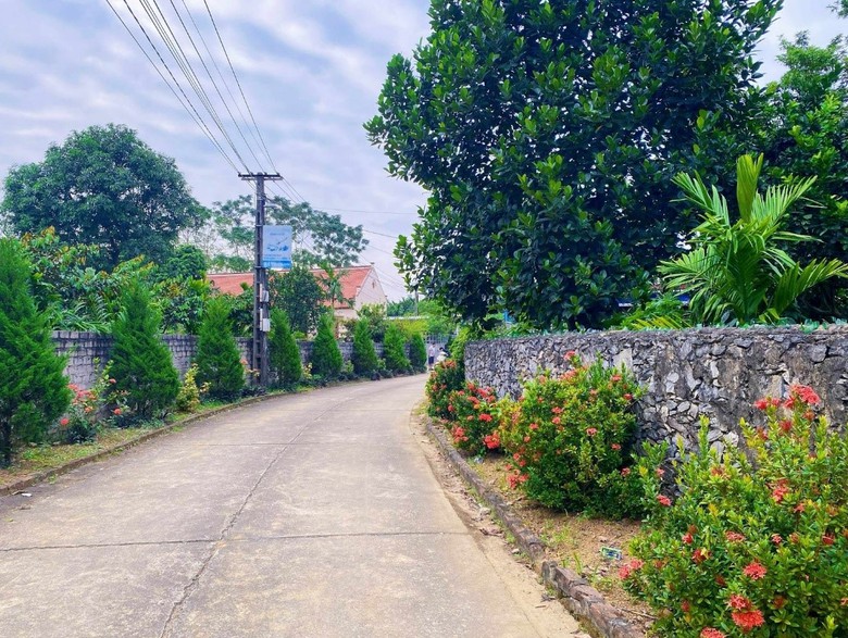 Ph&uacute; Thọ: V&ugrave;ng qu&ecirc; khởi sắc sau s&aacute;p nhập, chuyển m&igrave;nh mạnh mẽ x&acirc;y dựng n&ocirc;ng th&ocirc;n mới- Ảnh 1.