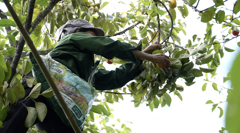 Bắc Ninh: X&atilde; ngh&egrave;o miền n&uacute;i th&agrave;nh điểm s&aacute;ng n&ocirc;ng th&ocirc;n mới- Ảnh 2.