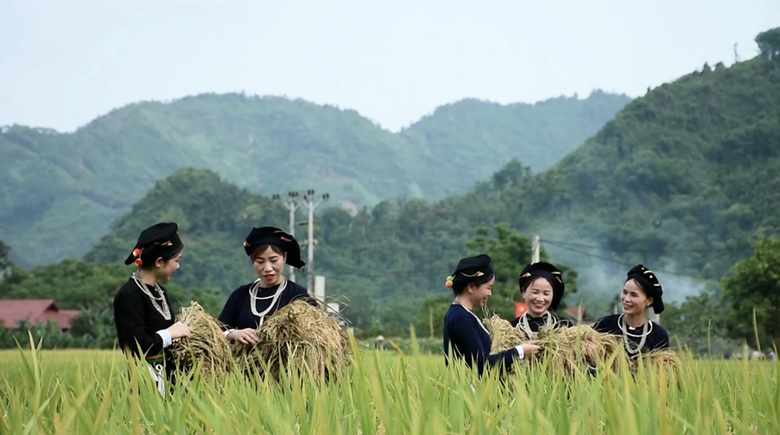 L&agrave;o Cai: Ph&aacute;t triển du lịch cộng đồng từ nền tảng n&ocirc;ng nghiệp xanh ở v&ugrave;ng đất m&acirc;y trắng- Ảnh 2.