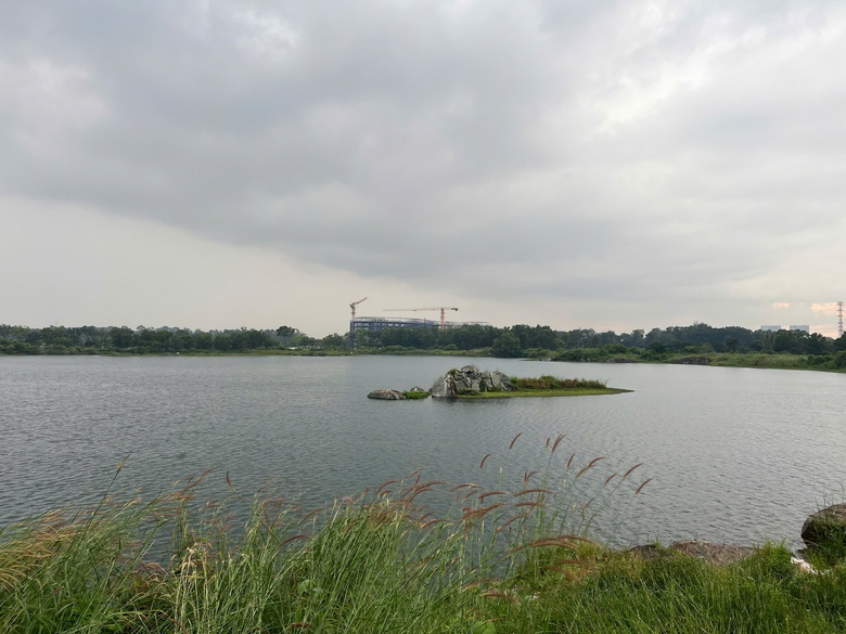 TP.HCM: T&igrave;m kiếm thiếu ni&ecirc;n đuối nước thương t&acirc;m- Ảnh 1.