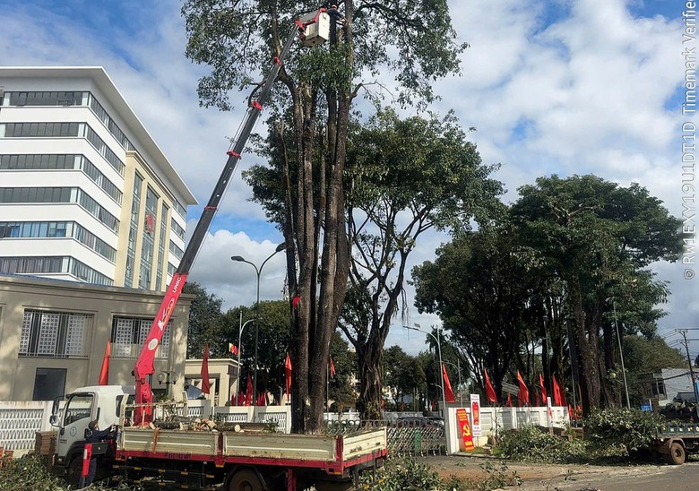 Tin tức mới nhất b&atilde;o số 13: Sạt lở nghi&ecirc;m trọng tại đ&egrave;o T&ocirc; Na tr&ecirc;n QL25- Ảnh 37.