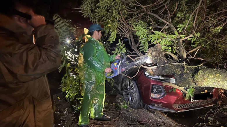 Bộ đội, c&ocirc;ng an gi&uacute;p người d&acirc;n Quảng Ng&atilde;i lợp m&aacute;i nh&agrave;, dọn c&acirc;y đổ, th&ocirc;ng đường sau b&atilde;o- Ảnh 9.