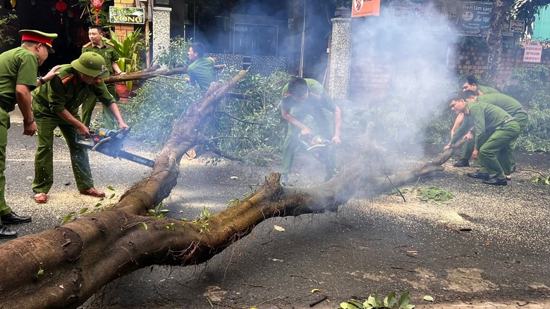 Bộ đội, c&ocirc;ng an gi&uacute;p người d&acirc;n Quảng Ng&atilde;i lợp m&aacute;i nh&agrave;, dọn c&acirc;y đổ, th&ocirc;ng đường sau b&atilde;o- Ảnh 13.