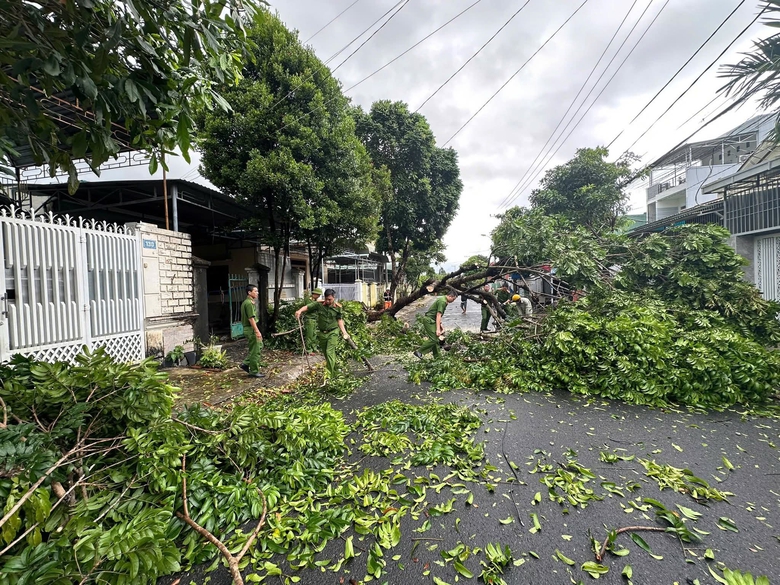 Bộ đội, c&ocirc;ng an gi&uacute;p người d&acirc;n Quảng Ng&atilde;i lợp m&aacute;i nh&agrave;, dọn c&acirc;y đổ, th&ocirc;ng đường sau b&atilde;o- Ảnh 10.