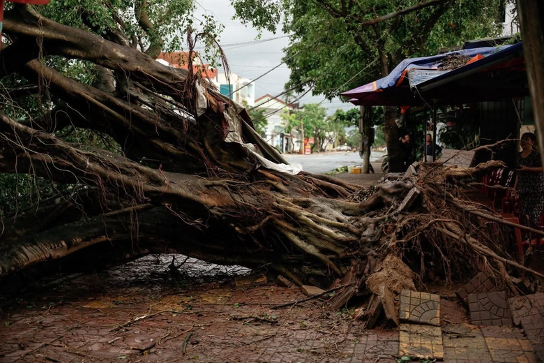 Bộ đội, c&ocirc;ng an gi&uacute;p người d&acirc;n Quảng Ng&atilde;i lợp m&aacute;i nh&agrave;, dọn c&acirc;y đổ, th&ocirc;ng đường sau b&atilde;o- Ảnh 11.