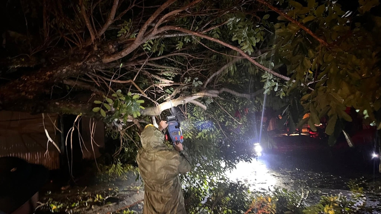 Bộ đội, c&ocirc;ng an gi&uacute;p người d&acirc;n Quảng Ng&atilde;i lợp m&aacute;i nh&agrave;, dọn c&acirc;y đổ, th&ocirc;ng đường sau b&atilde;o- Ảnh 8.