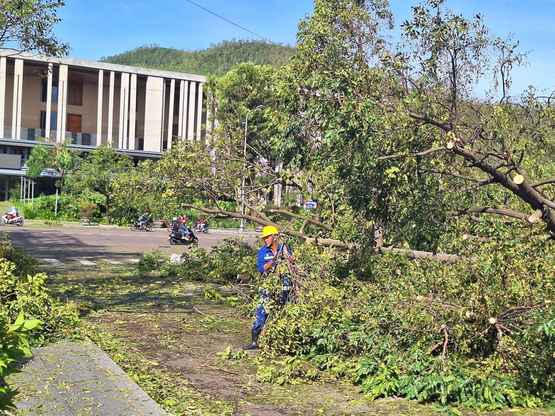 B&atilde;o số 13: Gia Lai thiệt hại hơn 5.000 tỷ đồng, 2 người tử vong- Ảnh 21.