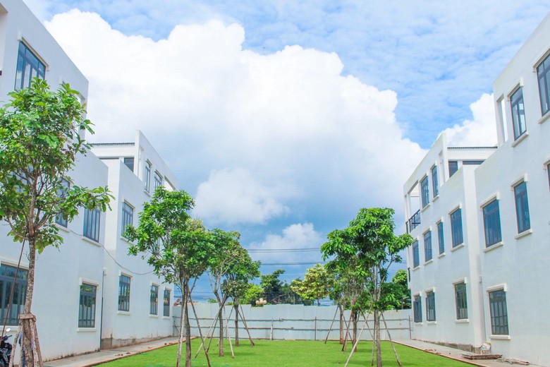 Ng&agrave;nh x&acirc;y dựng Đồng Nai phấn đấu tăng trưởng mạnh, th&ocirc;ng xe loạt dự &aacute;n lớn dịp 19/12- Ảnh 3.
